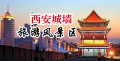 女人被大鸡巴操的时候网站中国陕西-西安城墙旅游风景区