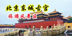 三级操大逼中国北京-东城古宫旅游风景区